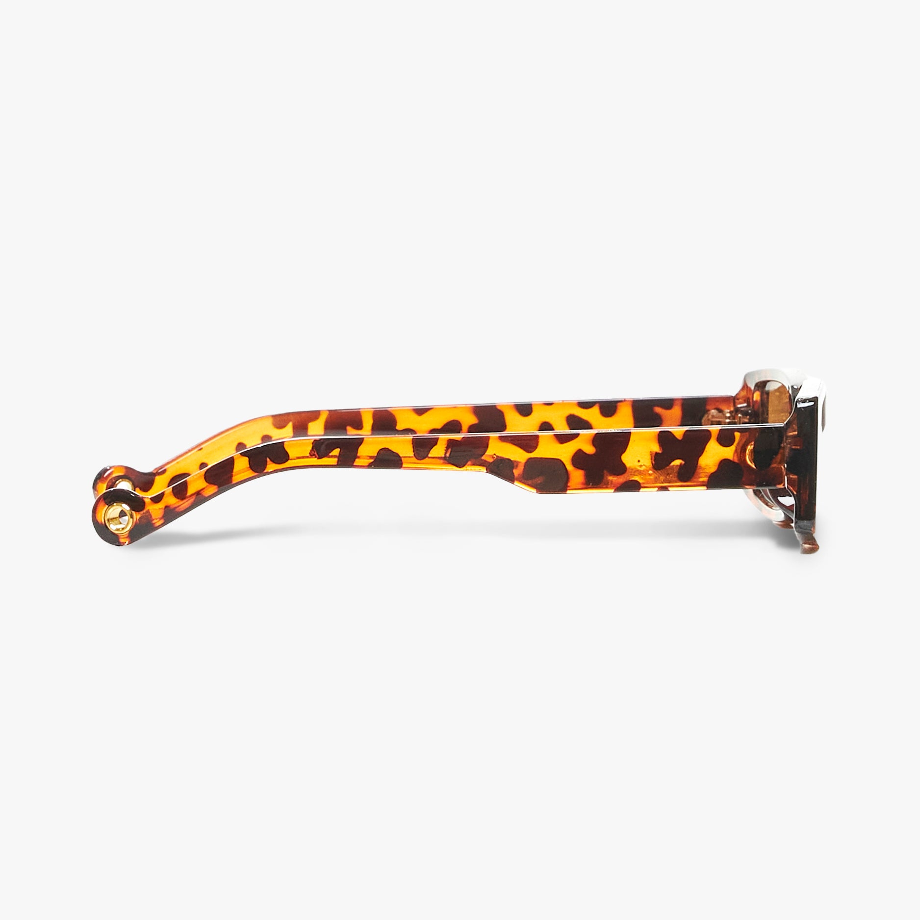 Gabriel - Animalier
