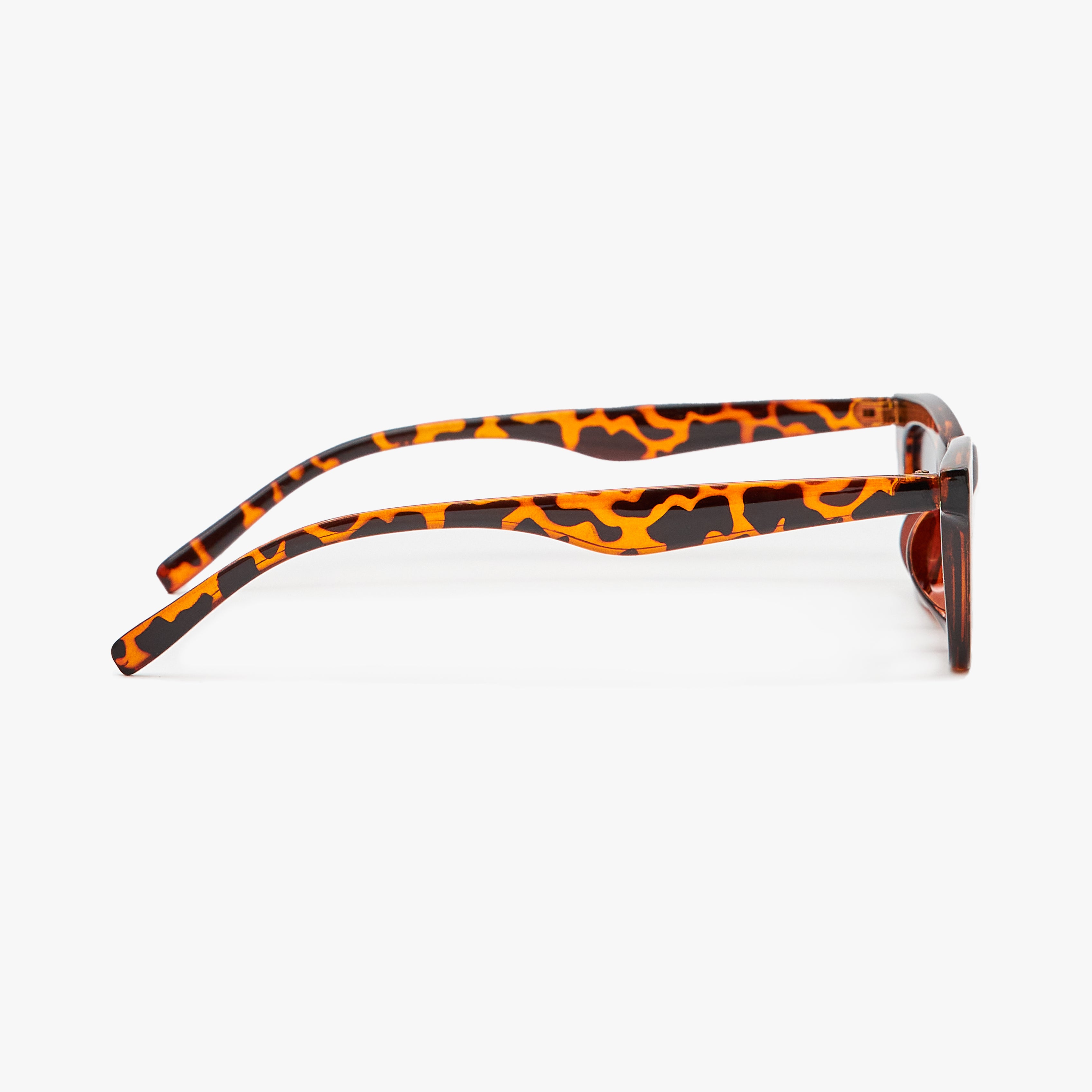 Soleil - Animalier