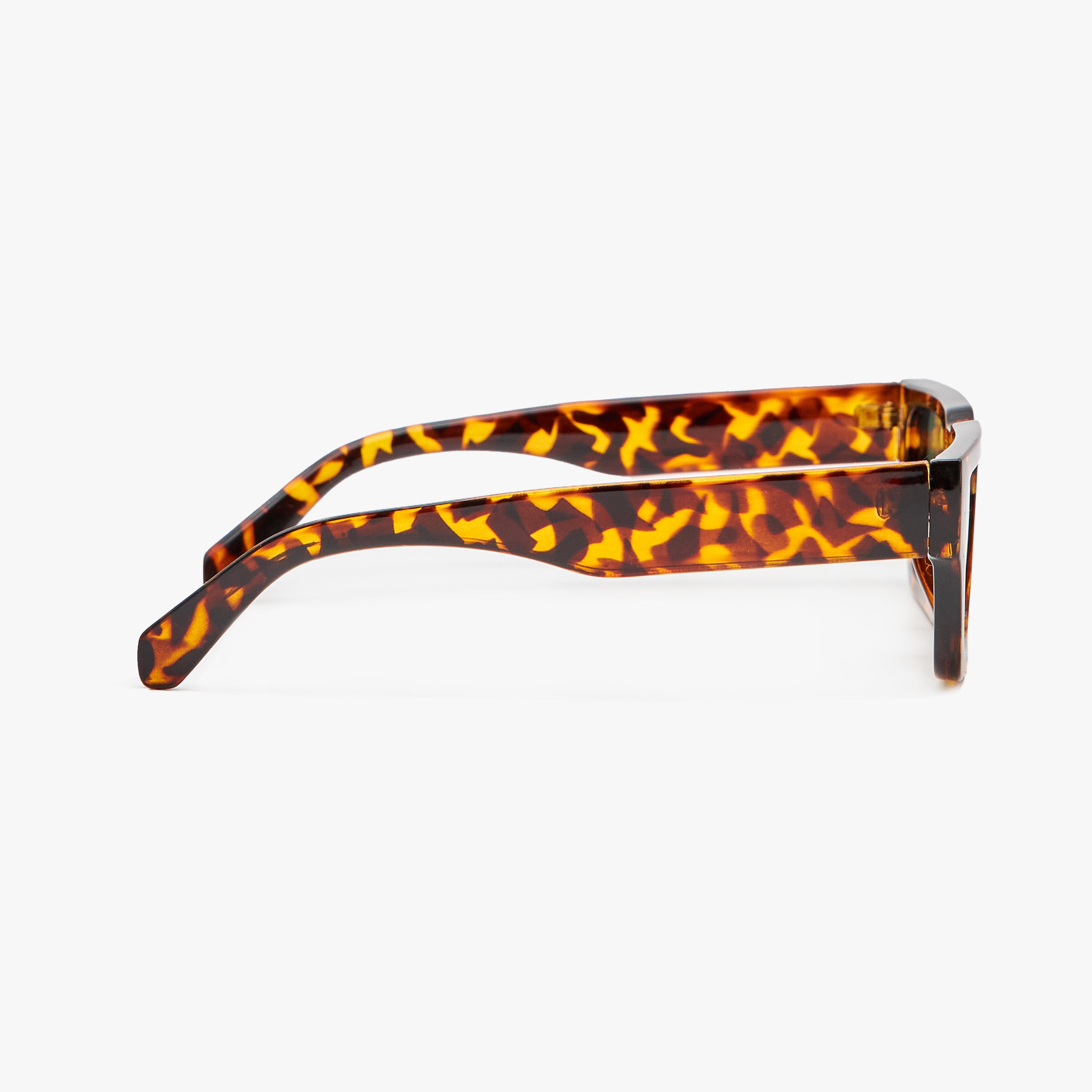 Lucas - Animalier